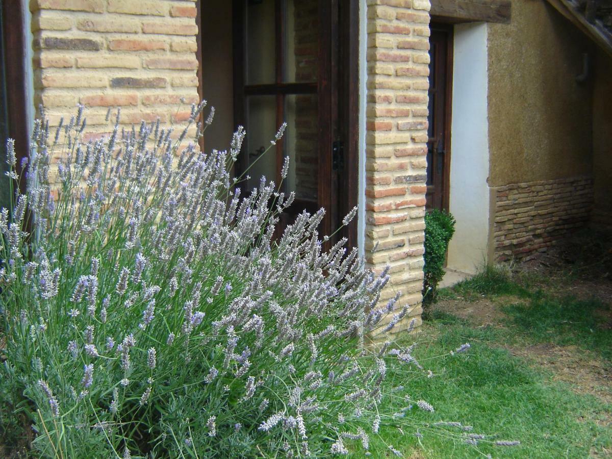 Penzion Casa Rural El Encuentro Villalon de Campos Exteriér fotografie